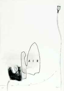 AIR (B�geleisen)