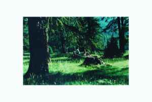 Wald (Oberengadin)