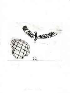 Storch