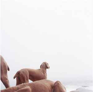 William Wegman